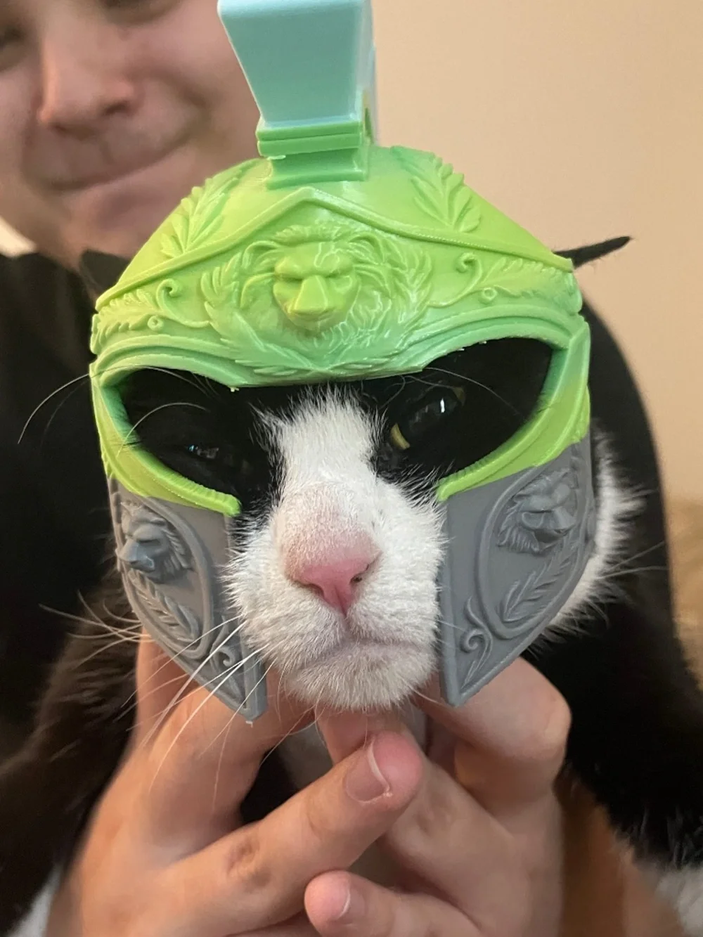 Handcrafted 3D Printed Roman/Spartan Accessory for Cats & Small Dogs